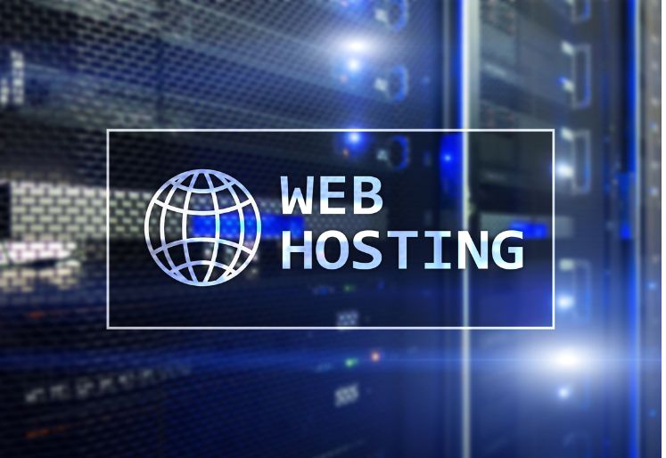 Web Hosting in India