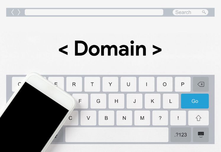 Domain Name Registration in India